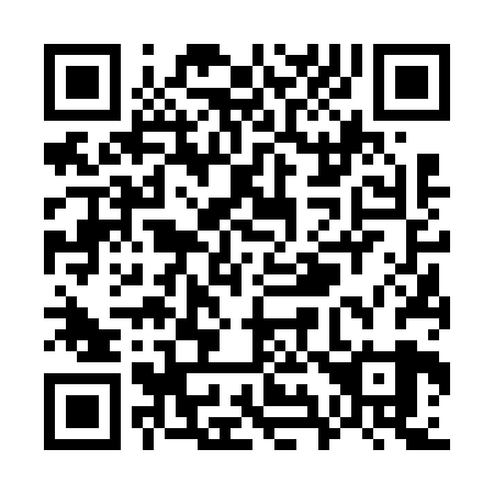 QR code for W96629