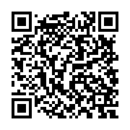 QR code for W96803