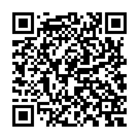 QR code for W96923