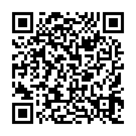 QR code for W99919