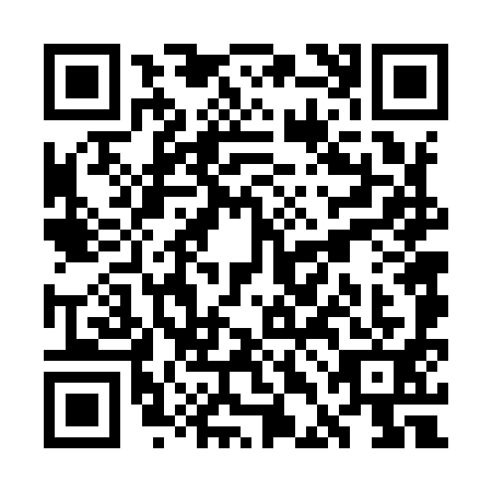 QR code for plate WDF-9913