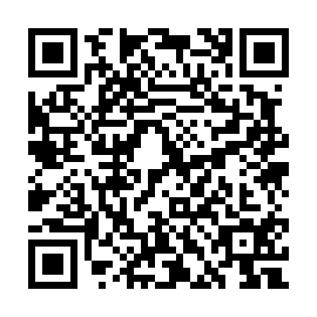 QR code for plate WDK-4141