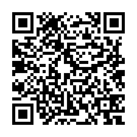 QR code for WER9393