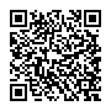 QR code for plate WHD-0433
