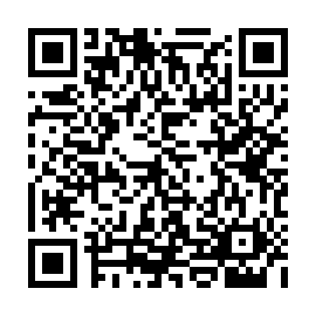 QR code for WHI2009
