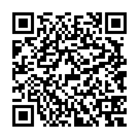 QR code for plate WLT-4382