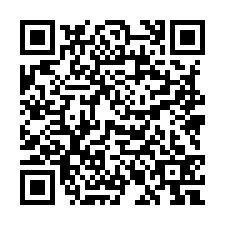 QR code for plate WMM-9338