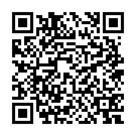 QR code for plate WNK-6729