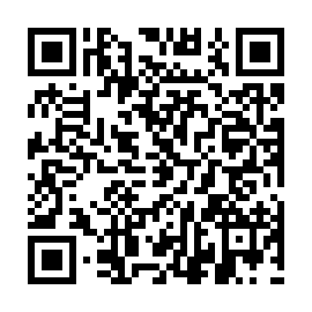 QR code for plate WNL-3929