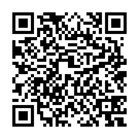 QR code for WNO6384