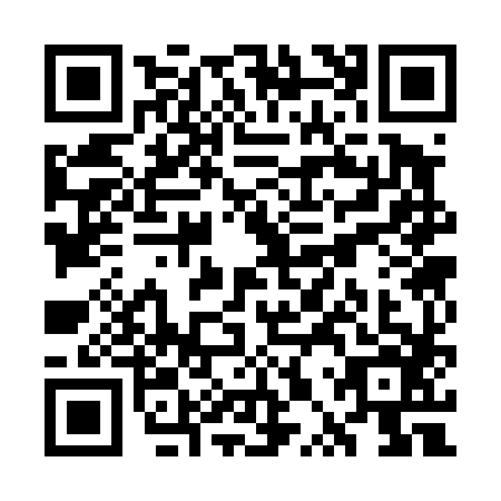 QR code for plate WPS-4867