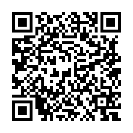 QR code for plate WPS-8641