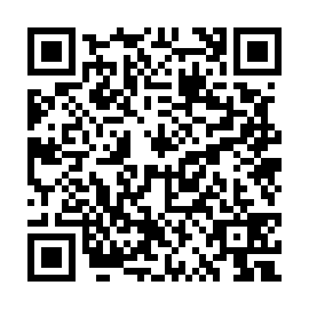 QR code for WRO5393