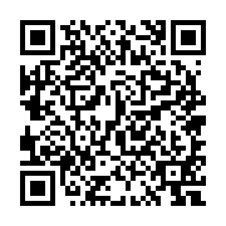 QR code for plate WSE-2911