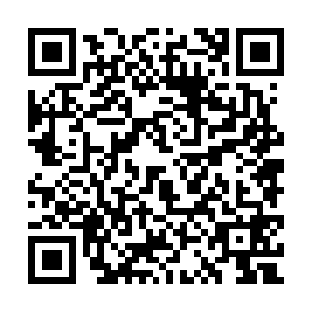 QR code for plate WSN-6685