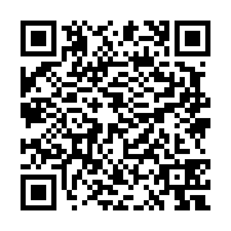 QR code for plate WSY-4384