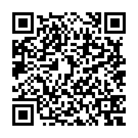 QR code for plate WWZ-8393