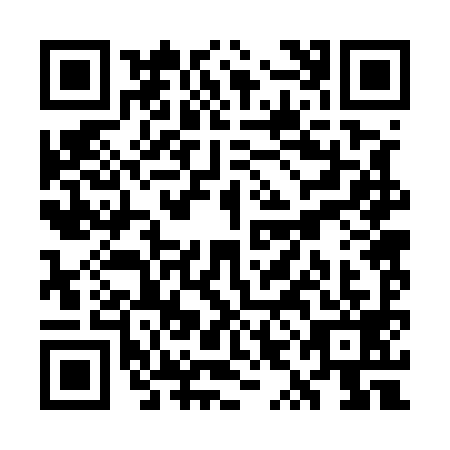 QR code for plate WYB-5991