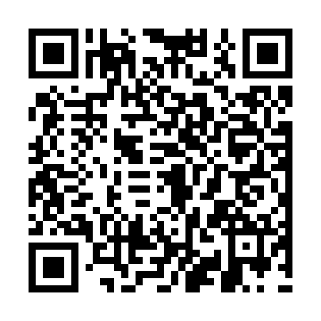 QR code for plate WYG-2728