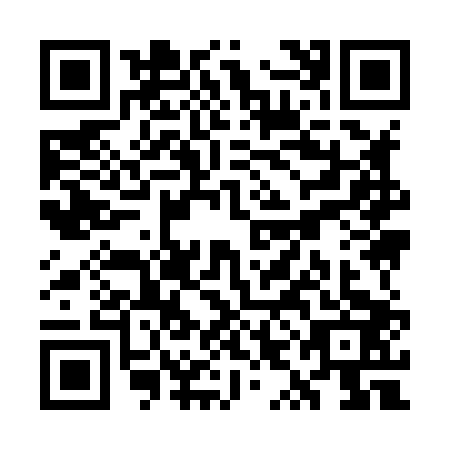 QR code for plate WYI-8038