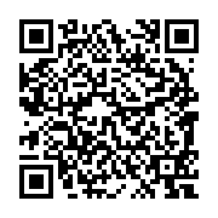 QR code for WYL2913