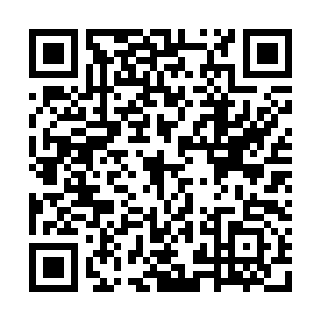 QR code for plate WZB-3938