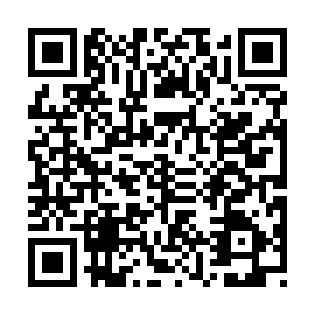 QR code for plate WZP-5951