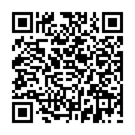 QR code for WZQ-6291