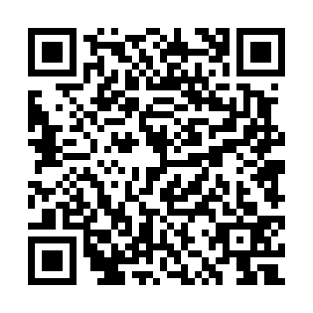 QR code for WZT-4335