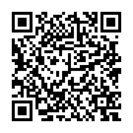 QR code for WZX0374