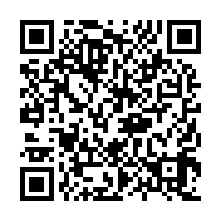 QR code for X02919