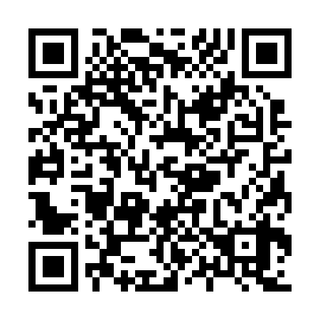 QR code for X03238