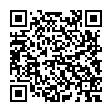QR code for X04929
