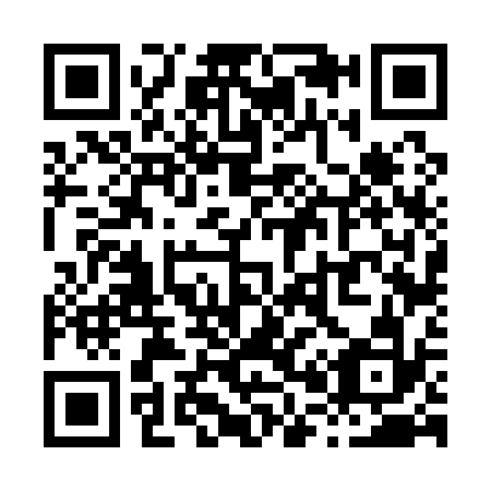 QR code for X06132