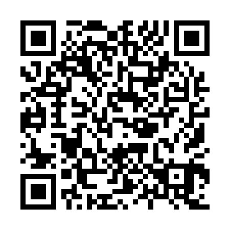 QR code for X09101