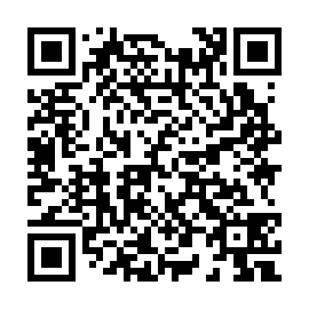 QR code for X09338