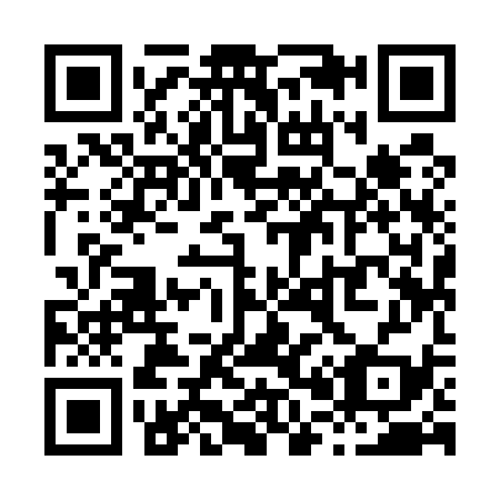 QR code for X09539