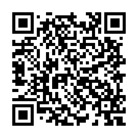 QR code for X09597