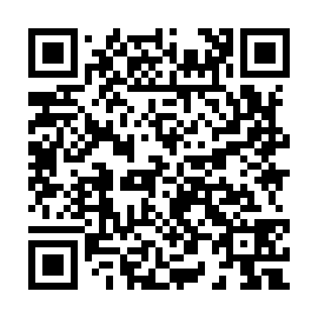 QR code for X09938