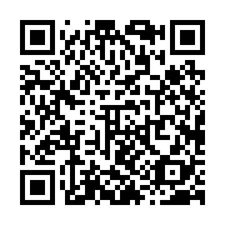 QR code for X10228