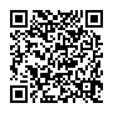 QR code for X10387
