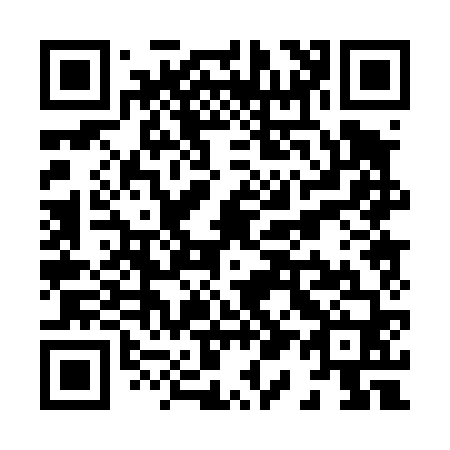 QR code for X10460