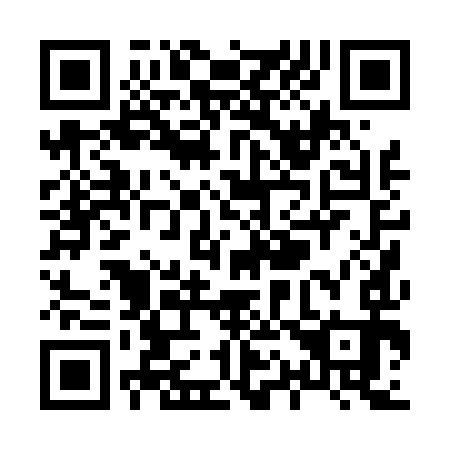 QR code for X10493