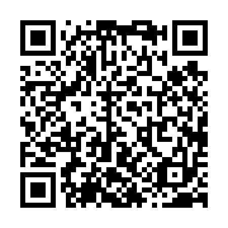 QR code for X10613