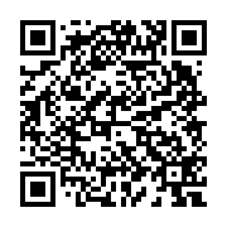 QR code for X10619