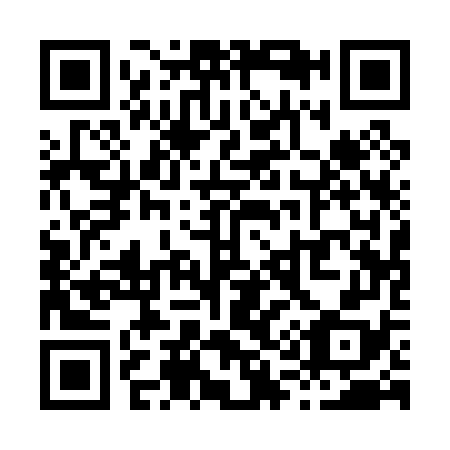 QR code for X11078
