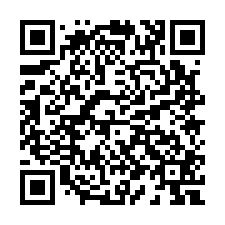QR code for X11101