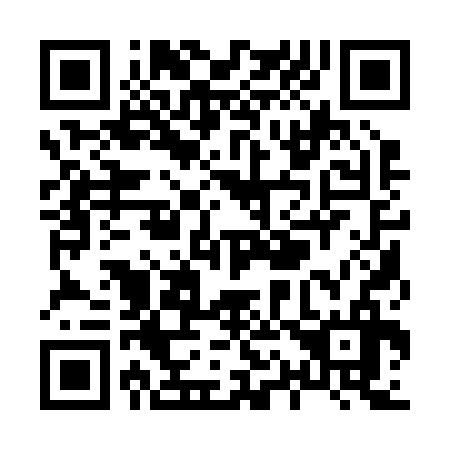 QR code for X11236