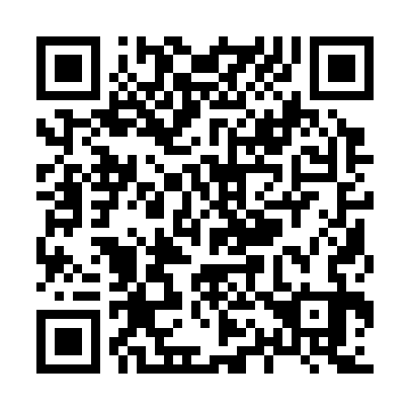 QR code for X11333