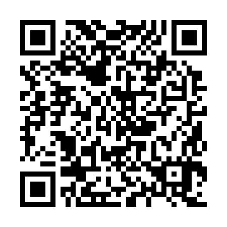 QR code for X11387